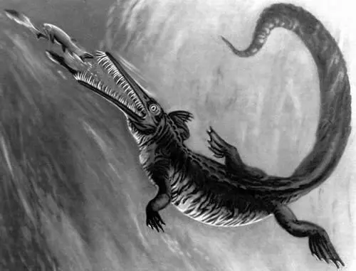 Рис к ст Мезозавры Мезозои МезозоиMesozoa класс животных подтипа - фото 155