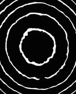 Рис 3 Кольца Ньютона полученные с посеребрёнными поверхностями Извилины - фото 38