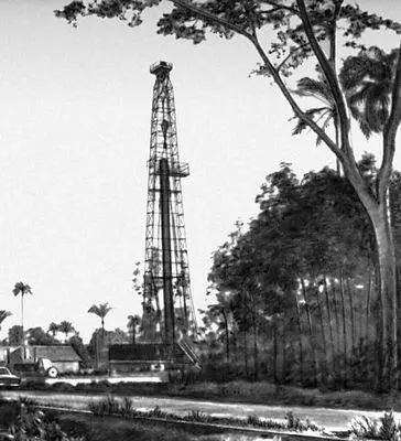 Добыча нефти Среднезападный штат На плантации каучуконосов У Океке Моло - фото 34