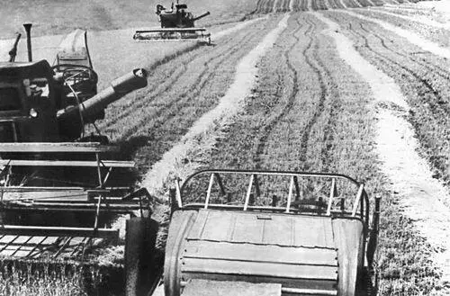 Николаевская область Уборка пшеницы в совхозе им Кирова Николаевская - фото 209