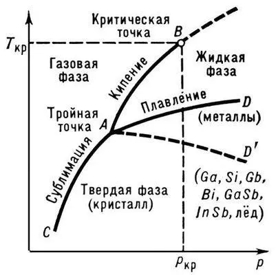 Рис 1 Диаграмма состояния чистого вещества Линии AD и AD кривые - фото 4