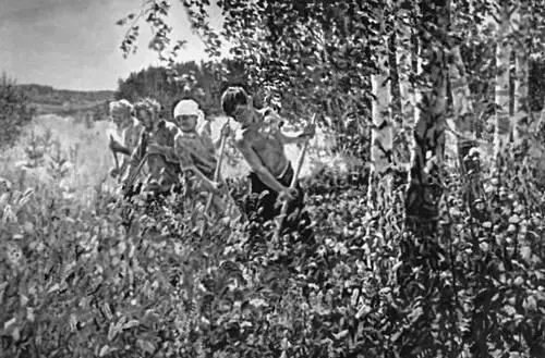 А А Пластов Сенокос 1945 Третьяковская галерея Москва Пластовая - фото 132