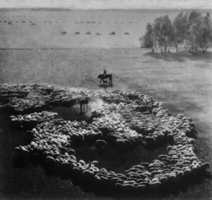 В степях на юге ЗападноСибирской равнины Ледник Большая Сауклара на Памире - фото 455