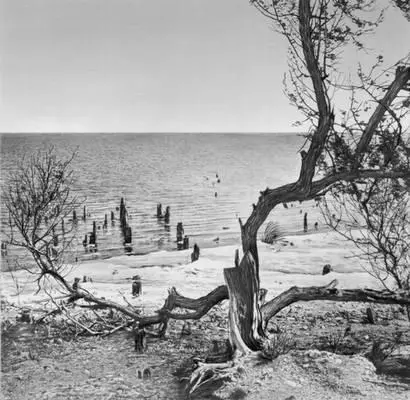 Азовское море Залив Сиваш Баренцево море Кольский залив СССР Народное - фото 401