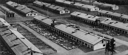 Свиноферма совхоза им 50летия СССР Калининская область На высокогорном - фото 626