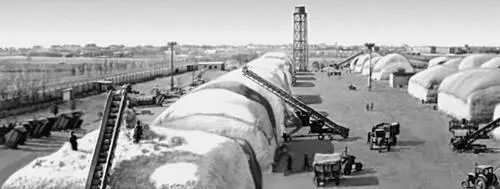Заготовка хлопка Алкатынский район Узбекская ССР Удобрение лугов жидким - фото 631