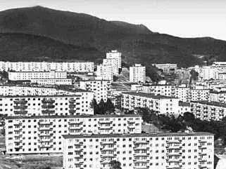 Т Н Дружинина и др Жилой район Вторая Речка во Владивостоке 196567 - фото 311