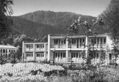 Санаторий Алтай Курорт Белокуриха В Центральном институте травматологии и - фото 85