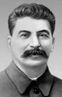И В Сталин Сталинградская битва 194243 Сталинградская битва - фото 17
