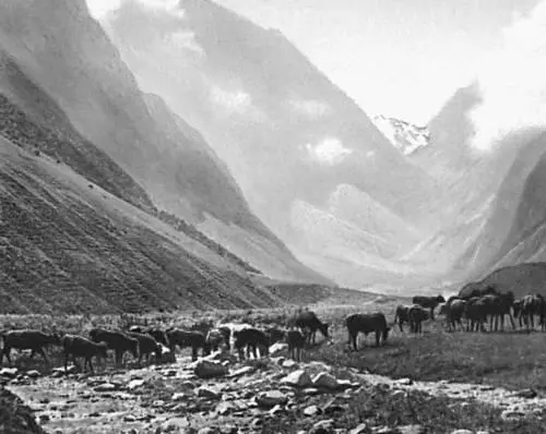СевероОсетинская АССР На альпийских лугах Золотошвейная вышивка на - фото 70