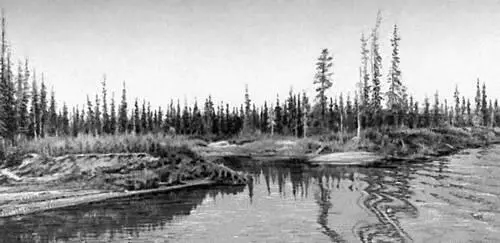 Аляска Река Танана Северная Америка Агавы и юкки в южной части - фото 27
