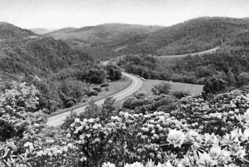 Северная Америка Голубой хребет штат Северная Королина США Северная - фото 32