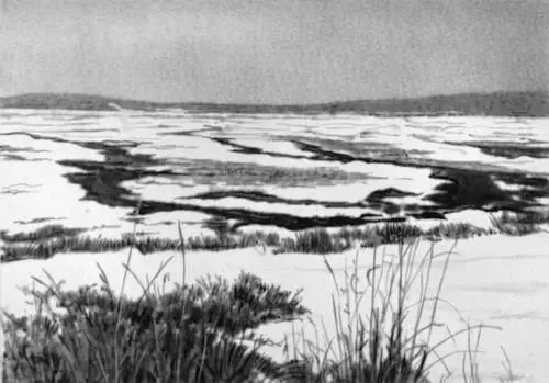 Рис 2 Заболоченная местность в районе падения Тунгусского метеорита - фото 73