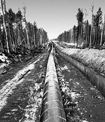 Тюменская область Нефтепровод Сургут Нижневартовск Тюменская область Сев - фото 12