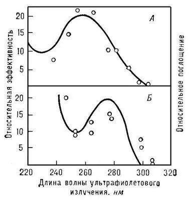 Рис 2 Спектры действия ультрафиолетового излучения на некоторые биологические - фото 62