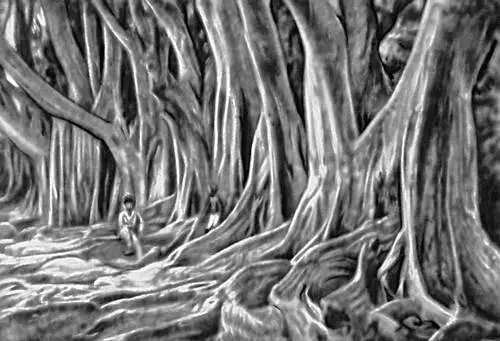 Рис 1 Фикус каучуконосный досковидные корни Фикх Фикхараб буквально - фото 53
