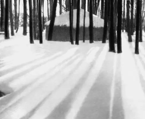 Фотоискусство Советское фотоискусство С К ИвановАллилуев Изба лесника - фото 125