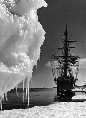 Фотоискусство Зарубежное фотоискусство 19 1й четв 20 вв Х Понтинг - фото 137