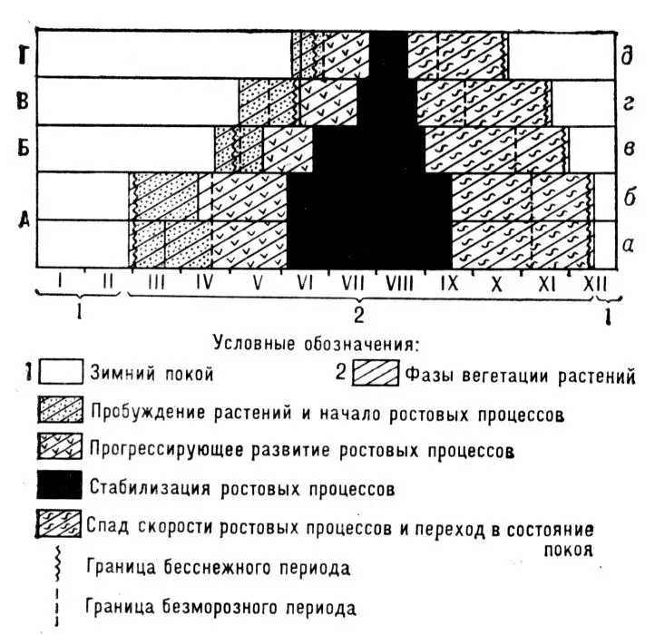 Рис 2 Фенологический спектр годичного цикла развития горных лесов - фото 123