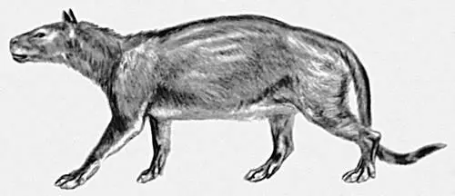 Фенакодус Phenacodus primoevus Фенамин Фенаминамфетамин бензедрин - фото 114