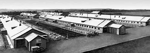 Харьковская область Свиноферма колхоза имени Кирова Изюмского района - фото 155