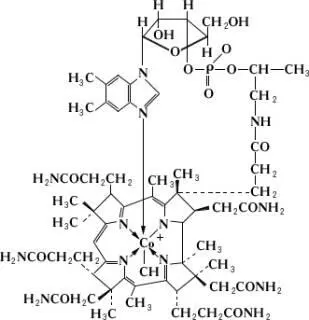 Витамин B 12применяют для лечения пернициозной и др анемий а также - фото 5