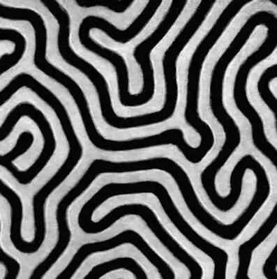 Рис 2а Лабиринтная доменная структура магнитоодноосных пластин в отсутствии - фото 42