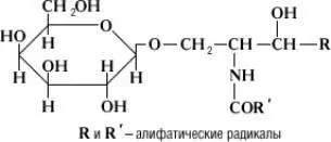 Ц содержатся главным образом в нервной ткани особенно в миелиновой оболочке - фото 95