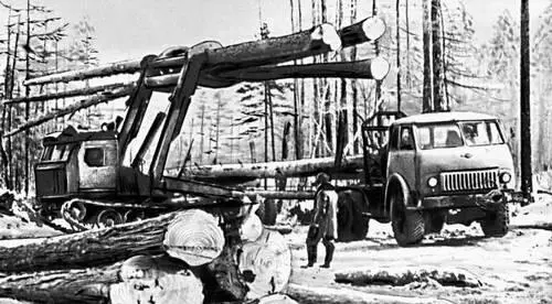 Читинская область Заготовка леса для Катангарского лесопромышленного - фото 112