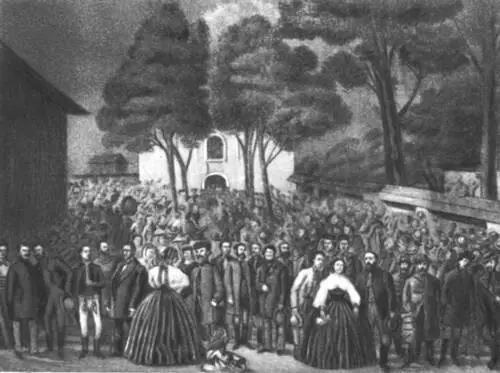 Собрание словацкой интеллигенции в ТурчанскиСветиМартине в 1861 принявшее - фото 221