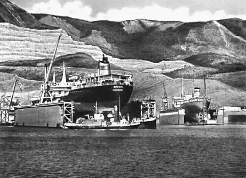 Новороссийская бухта Побережье Черного моря в Болгарии Курорт Золотые Пески - фото 143