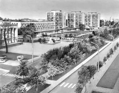 Черкассы Улица Шевченко Черкез Черкезкустарник семейства маревых из рода - фото 99