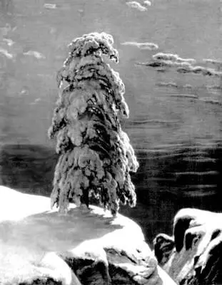 Шишкин И И На севере диком 1891 Киевский музей русского искусства И - фото 57
