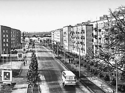 Цхинвали Улица Мамсурова Прессование сена на лугах Тамарашенского совхоза - фото 3