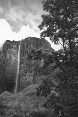 Южная Америка Водопад Анхель Венесуэла Южная Америка Река Парана близ - фото 18