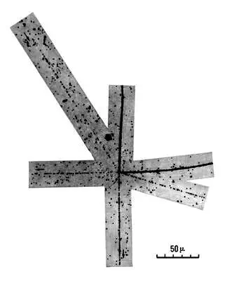 Рис 1 Следы частиц с различной ионизующей способностью Звезда создана - фото 4