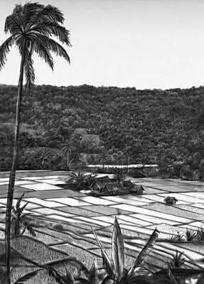 Рисовые поля на западе о Яна близ г Пелабуханрату Яван Яван посёлок - фото 1