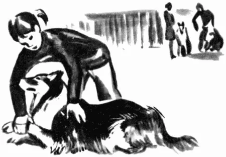 На первых занятиях собаки иногда начинают упираться и не хотят ложиться Не - фото 24