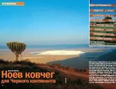 Несколько миллионов лет назад на том краю Африканского материка что встречает - фото 18