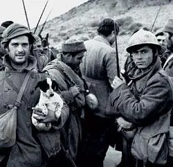 Фашистская Италия и нацистская Германия впрочем не только нарушили эмбарго - фото 57