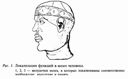 Как уже указывалось психология как наука намного старше чем физиология и на - фото 1