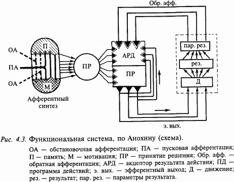 Организм имеет также специальный механизм для оценки биологической значимости - фото 37