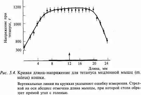 Существует зависимость между характеристиками двигательной единицы и - фото 50