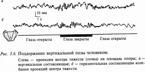 Поза Движения которые совершает человек характеризуются общим свойством - фото 52