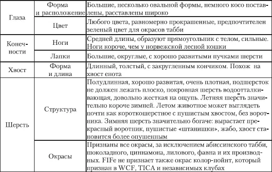 ГЛАВА IV НЕВСКАЯ МАСКАРАДНАЯ КОШКА Достоверных сведений о происхождении - фото 6