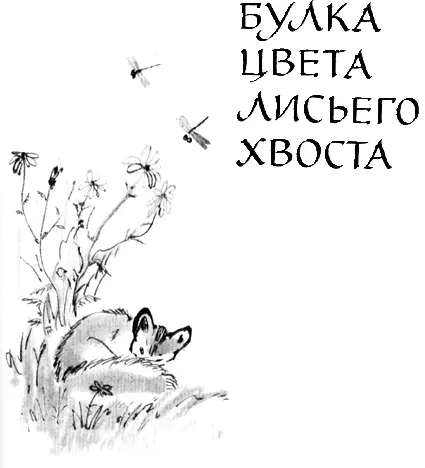 Глава первая Нонтян знакомится с лисёнком Коном Нонтян 1 Тян частица - фото 4