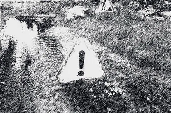 Солнце нехотя клонится за деревья уже восьмой час вечера Какой это день по - фото 3
