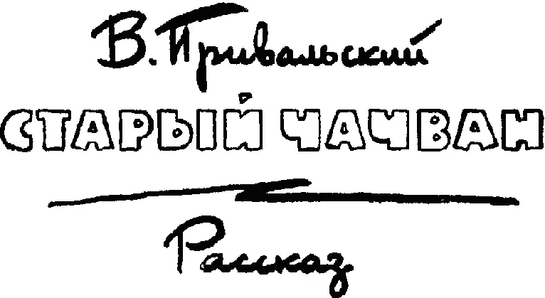 Железный ящичек в котором старый бухгалтер держал деньги исчез из палатки под - фото 2