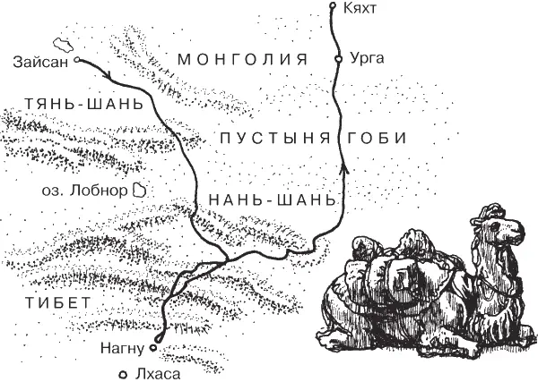 Экспедиция НМ Пржевальского 18791880 гг С перевала на высоте около 5000 - фото 28