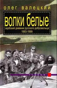 Олег Валецкий - ВОЛКИ БЕЛЫЕ(Сербский дневник русского добровольца 1993-1999)